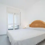 Maena Cali *